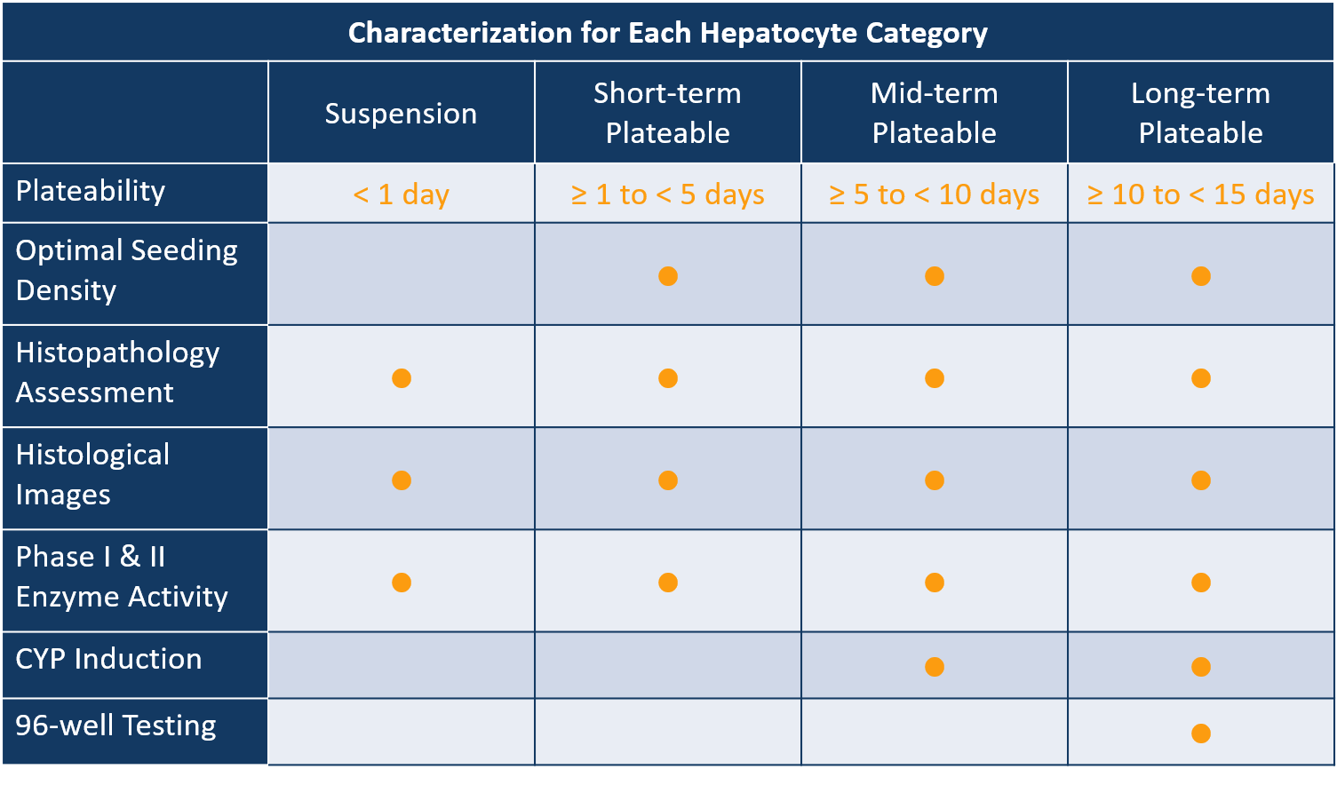 Hepatocyte Graph Img