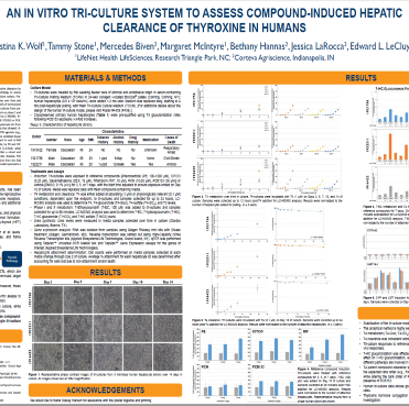 An In Vitro Tri-Culture System to Access Compound-Induced Hepatic Clearance of Thyroxine in Humans