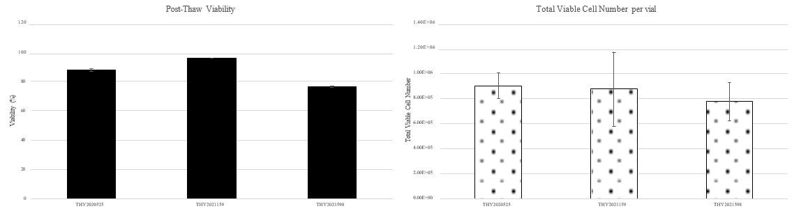 Post-thaw outcomes of cryopreserved primary human thyrocytes 