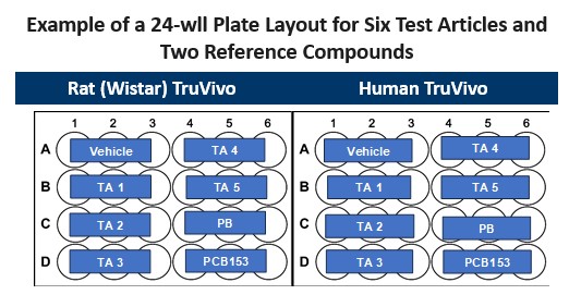 Example Plate for TDC Indirect