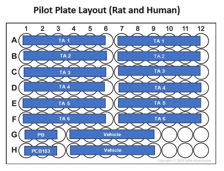 Pilot Plate for TDC Indirect