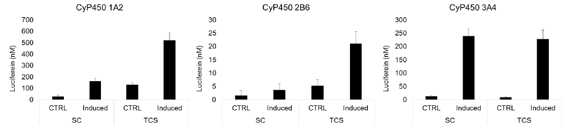 Induction of cytochrome P450 enzyme activity