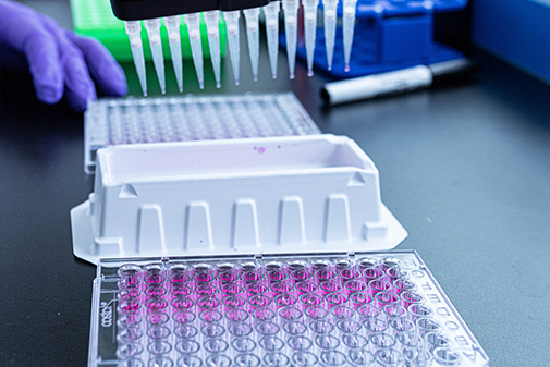 High-throughput screening