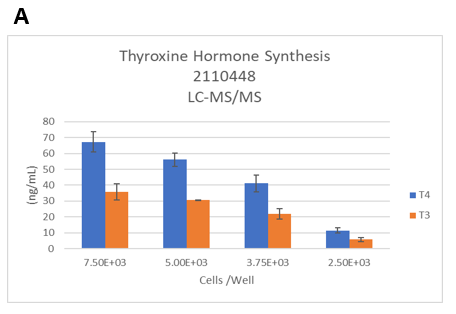 Figure 3. Identifying the lower limits of thyroxine hormones by LC-MS/MS. The thyrocytes were seeded at six different seeding densities (from 1.5E+04 to 2.5E+03 cells per well). A. TSH-induced T4 synthesis on day 14 from thyrocytes in 3D cultures was determined by LC-MS/MS. B.The dynamic range of T4 synthesis. C. Thyroxine hormone production levels normalized to 1M cells.  D. Representative 3D thyroid microtissues on day 14 (Lot 2110448). Magnification:40X. 