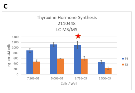 Figure 3. Identifying the lower limits of thyroxine hormones by LC-MS/MS. The thyrocytes were seeded at six different seeding densities (from 1.5E+04 to 2.5E+03 cells per well). A. TSH-induced T4 synthesis on day 14 from thyrocytes in 3D cultures was determined by LC-MS/MS. B. The dynamic range of T4 synthesis. C. Thyroxine hormone production levels normalized to 1M cells.  D. Representative 3D thyroid microtissues on day 14 (Lot 2110448). Magnification:40X. 