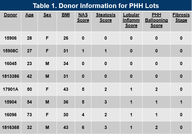Donor information for primary human hepatocyte lots used in the triculture system