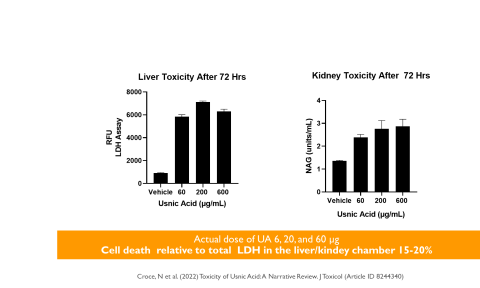 Figure 6.  Usnic Acid Caused Toxicity in Liver and Kidney at the Membrane Level