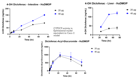 Figure 5. Tracking the 4-OH Diclofenac and the Acyl-Glucuronide Metabolites in the Intestine and Liver Compartments.