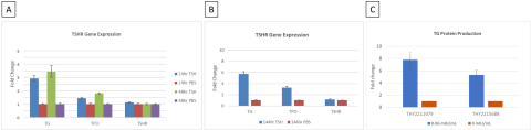 Figure 3. Optimization of culture time and reporter gene identification.