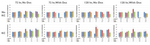 Figure 2. Fibrogenic Response Gene Expression Following MTX or TGF-β1 Treatment. 