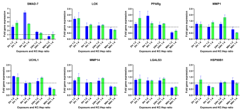 Figure 3. Extended Time-course of Fibrogenic Response Gene Expression Following TGF-β1 Treatment. 