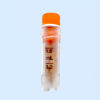 Vial of Snap frozen liver tissue sample