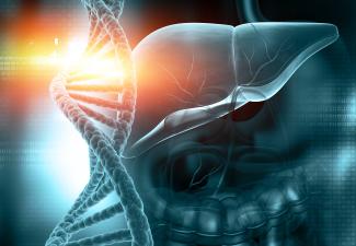 Genotyped human liver cells Genotyped human liver cells