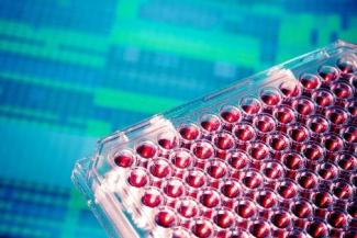 Cytotoxicity Screenings /cytotoxicity-screenings