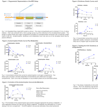 Evaluation of a New Meso-Scale MPS Integrated Organ Platform to Evaluate Acetaminophen and Diclofenac Kinetics, Organ Distribution Metabolism, and Cytotoxicity