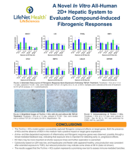 A Novel In Vitro All-Human 2D+ Hepatic System to Evaluate Compound-Induced Fibrogenic Responses